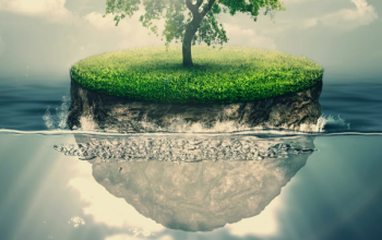 3rd periodic report of ENVRIplus project was submitted to EC